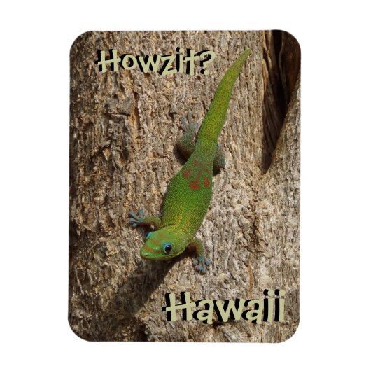 Howzit Hawaii gecko tropische rechthoekmagnet Magneet (Verticaal)