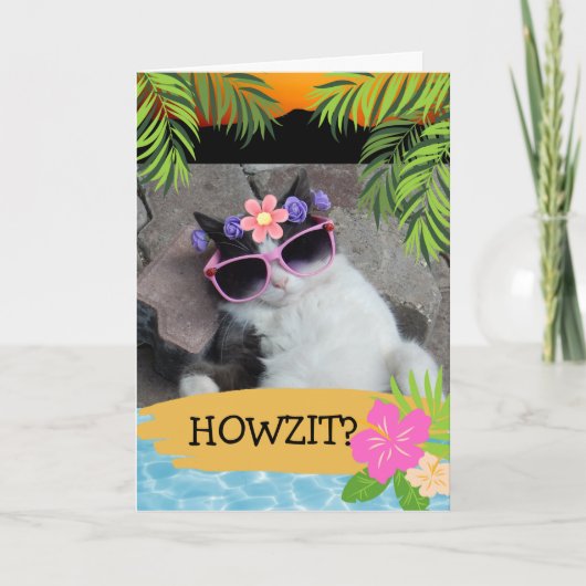 Howzit? Hawaiian Thlek Chill Cat Pink Shades Kaart (Voorkant)