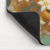 Hoya aff vitellina Mousepad Muismat (Hoek)