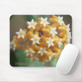 Hoya aff vitellina Mousepad Muismat (Met muis)