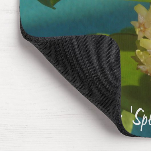 Hoya balaensis "Splash" MousePad Muismat (Hoek)