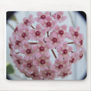 Hoya carnosa Tricolor Mousepad Muismat
