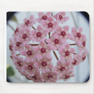 Hoya carnosa Tricolor Mousepad Muismat