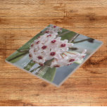 Hoya Plant Flowers Floral Tegeltje<br><div class="desc">Keramische tegel die het foto-afbeelding van het ,  kleine bloemen van het Plant van Hoya kenmerkt,  algemeen genoemd een Plant van de Was. Een mooi,  bloemetjesontwerp! Selecteer de grootte van uw tegel. Maakt een geweldige keukentochtje!</div>