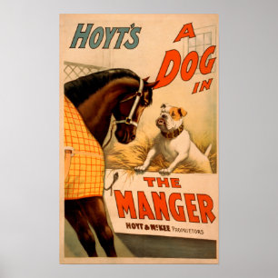 Hoyt is een hond in het Manger Theater Poster