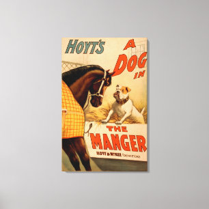 Hoyt is een hond in het Manger Theater Poster Canvas Afdruk