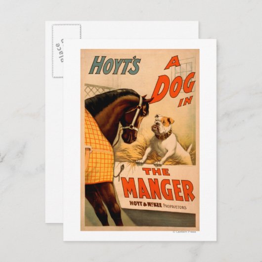 Hoyt is een hond in het Manger Theater Poster Feestdagenkaart (Voorkant / Achterkant)