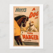 Hoyt is een hond in het Manger Theater Poster Feestdagenkaart (Voorkant)