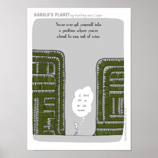 HP2244 POSTER (Voorkant)