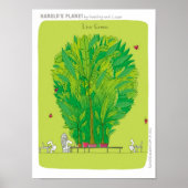 HP2279 POSTER (Voorkant)