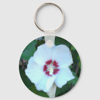 HPIM0580 SLEUTELHANGER