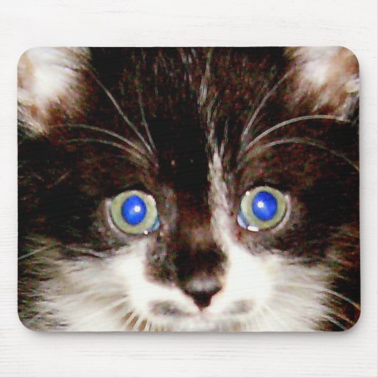 HPIM0940 MUISMAT (Voorkant)