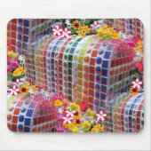 HPIM1450 MUISMAT (Voorkant)