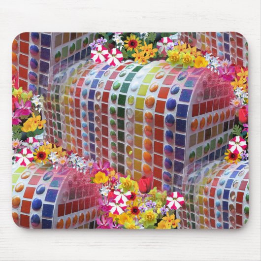 HPIM1450 MUISMAT (Voorkant)