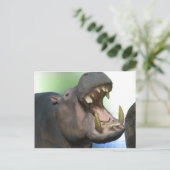 Hppo Briefkaart (Staand voorkant)