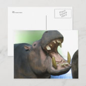 Hppo Briefkaart (Voorkant / Achterkant)