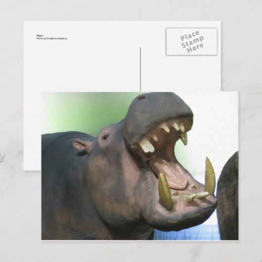Hppo Briefkaart (Voorkant / Achterkant)