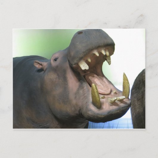 Hppo Briefkaart (Voorkant)