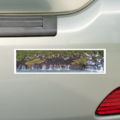 Hraunfossar-waterval in IJslandse bumpersticker (Op auto)