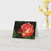 HRG Brigadoon nam 2014 130 toe Kaart (Gele Bloem)