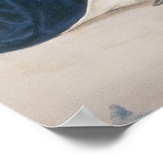 HRH Albert Edward, Prince of Wales Poster (Hoek)