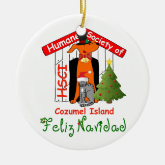 HSCI Xmas Ornament