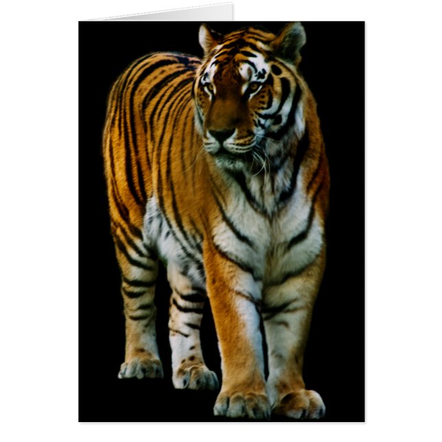 Hu Lin Kaart (Voorkant)