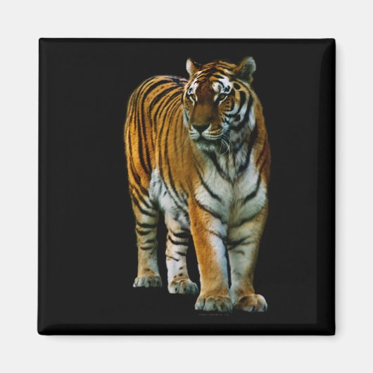 Hu Lin Magnet (Voorkant)