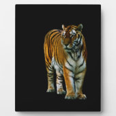 Hu Lin Plaque Fotoplaat (Voorkant)