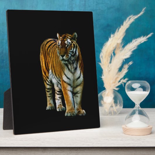 Hu Lin Plaque Fotoplaat (Zijkant)