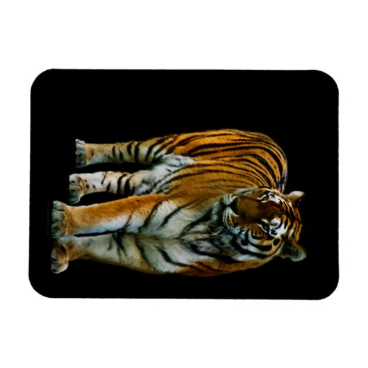 Hu Lin Premium Magnet Magneet (Horizontaal)