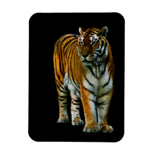 Hu Lin Premium Magnet Magneet