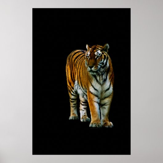 Hu Lin Print (Voorkant)