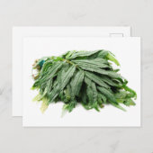 Huacatay  briefkaart (Voorkant / Achterkant)