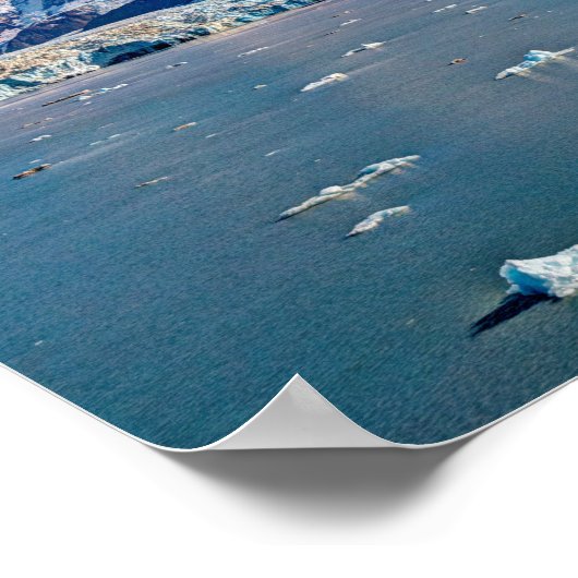 Hubbard Glacier, Alaska Poster (Hoek)