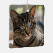 Hubble de Blinde Kat Ornament (Rechts)