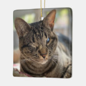 Hubble de Blinde Kat Ornament (Links)
