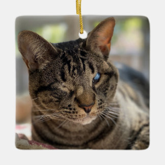 Hubble de Blinde Kat Ornament