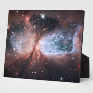 Hubble Sneeuwengel 10x8 Fotoplaat