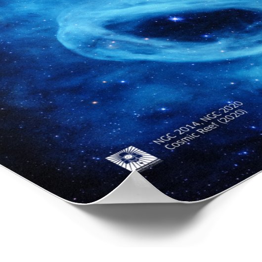 Hubble Telescope: Cosmic Reef (2020) Poster (Hoek)