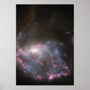 Hubble ziet een Galaxy Hit a Bull's-Eye Poster