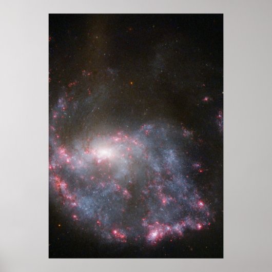 Hubble ziet een sterrenstelsel dat roos treft poster (Voorkant)