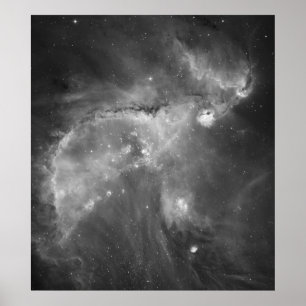 Hubble's Black and White Uitzicht of the Universe Poster