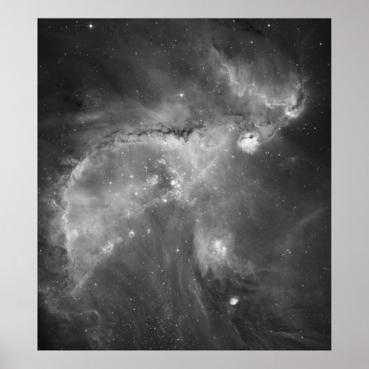 Hubble's Black and White Uitzicht of the Universe Poster (Voorkant)