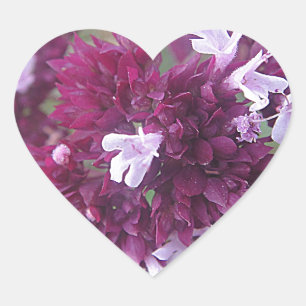 Hübsche lila Blumenkugel Hart Sticker