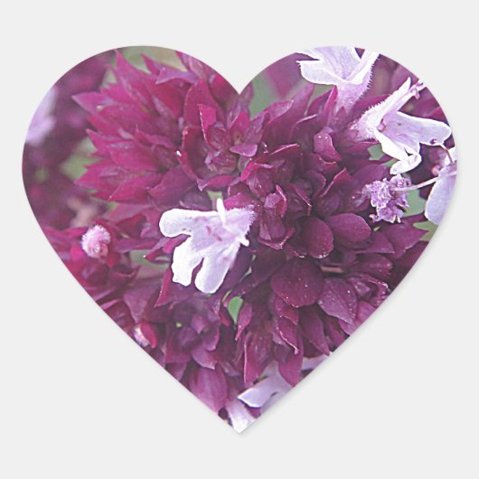 Hübsche lila Blumenkugel Hart Sticker (Voorkant)