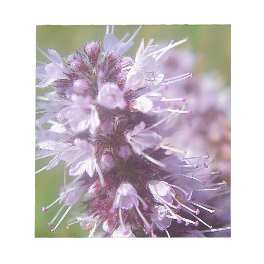 Hübsche lila Wildblüten Notitieblok (Voorkant)