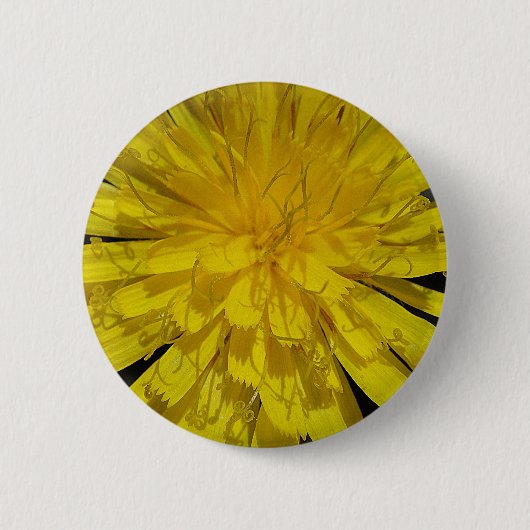 Hübsche Löwenzahnblüte Ronde Button 5,7 Cm (Voorkant)