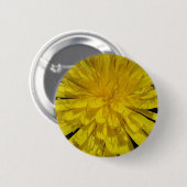 Hübsche Löwenzahnblüte Ronde Button 5,7 Cm (Voorkant /achterkant)