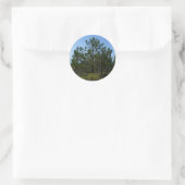 Huckleberry Hill Pebble Beach Stickers (Tas)